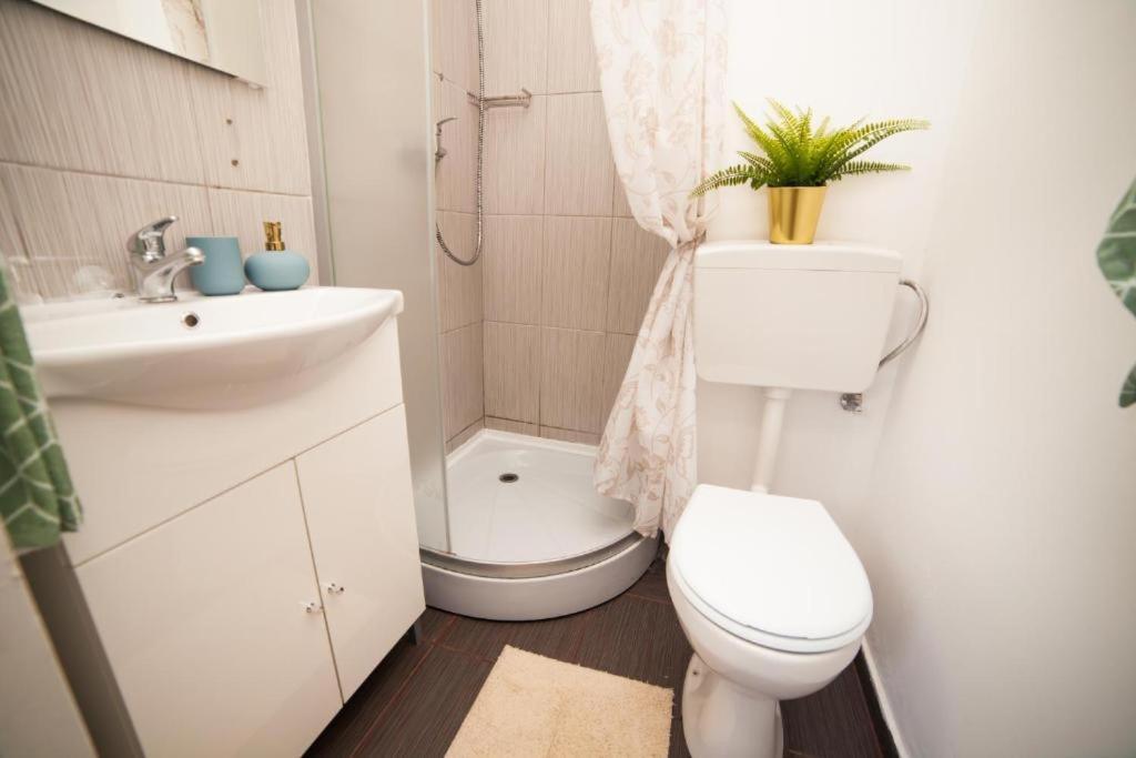 Guesthouse Smart Bucareste Exterior foto